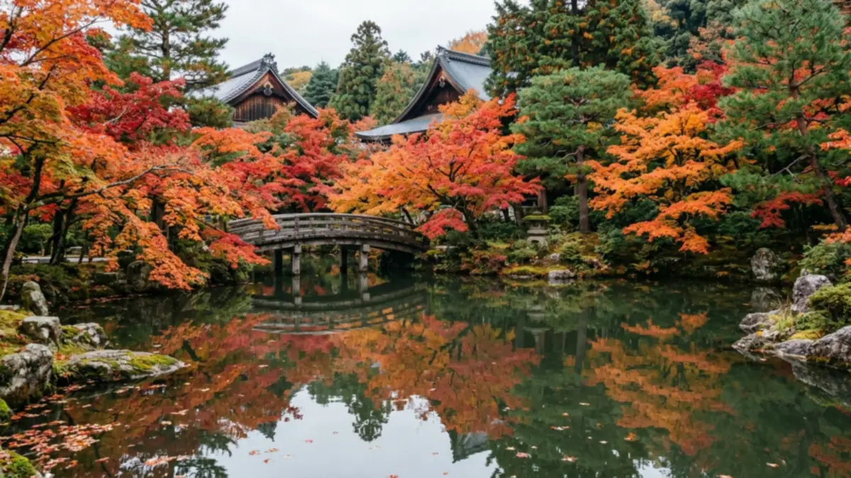Momiji en Japón: dónde y cuándo ver las hojas rojas del otoño